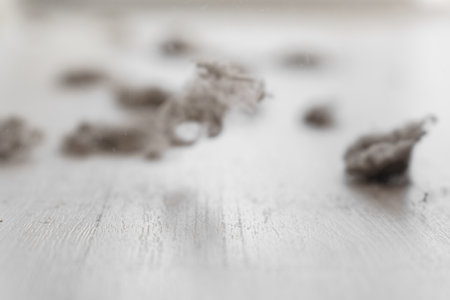 House dust on white floor. House Dust Mite and Home cleaning, Hygiene Problem.の写真素材