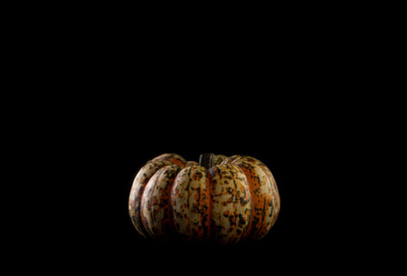 Orange and yellow pumpkin on a black backgroundの写真素材