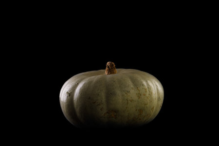 Green squash on black backgroundの写真素材