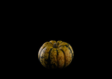 Green and yellow pumpkin on black backgroundの写真素材