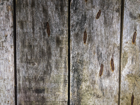 Old realistic rusty antique nails on the wooden timber background, pictureの写真素材