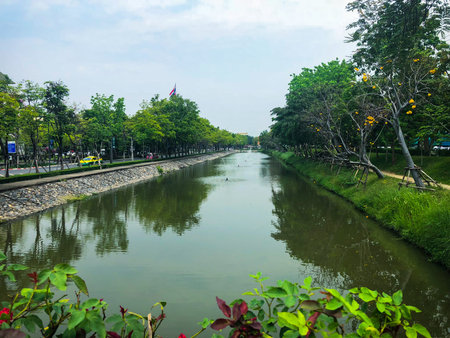 Center of pond in nature park background, picture imageの写真素材