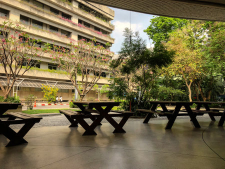 Bench with space in park view with building background, image pictureのeditorial素材