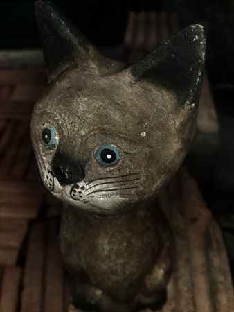 face catの写真素材