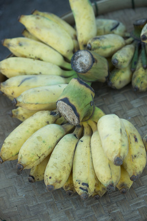 banana healthy food have multivitamin and low sugarの写真素材