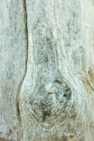 wood texture and background ready to useの写真素材
