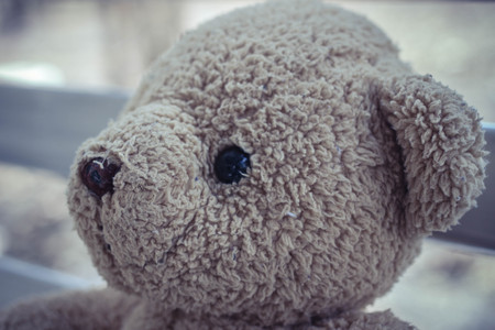 little bear sitting  on bench it feel lonelyの写真素材