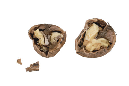 one nut open on white background, isolated