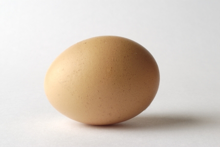 brown egg on white backgroundの写真素材