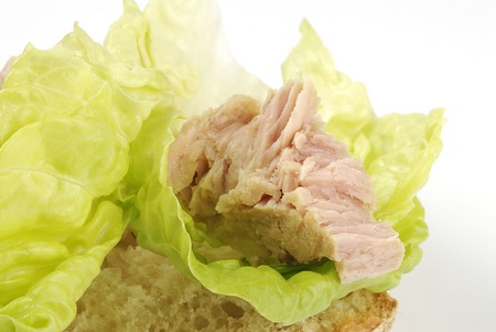 canned tuna in vegetable oil shreddedの写真素材