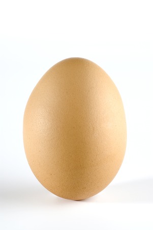 brown egg on white backgroundの写真素材