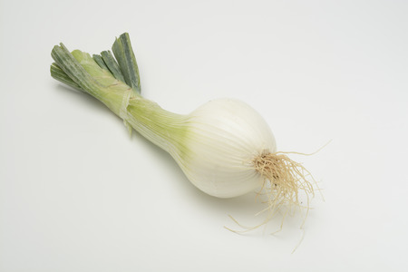 Chiveの写真素材