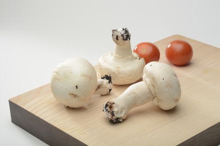 Mushrooms on a kitchen boardの写真素材