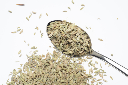 Fennelの写真素材