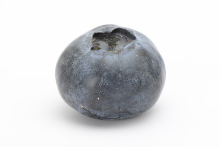 Blueberries on white background, blue colorの写真素材