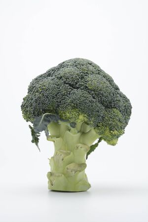 A raw broccoli on white backgroundの写真素材