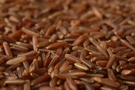 Raw red rice, macro photoの写真素材
