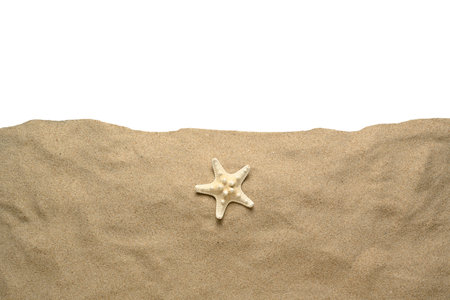 Sand and starfish cut out on white background, composition for designの写真素材