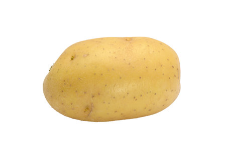 Raw potato isolated on white background, vegetableの写真素材