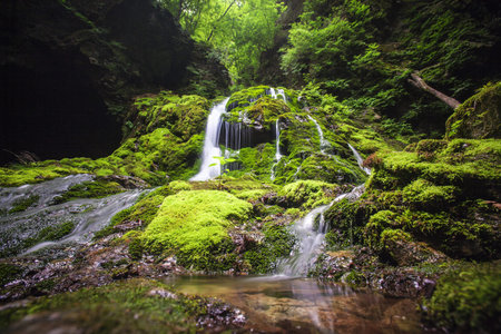 Moss in the beautiful valley of South Korea,mugeonri