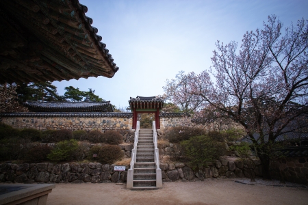 Bulguksa" Temple in South Korea"の写真素材