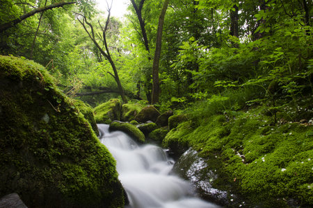 Beautiful landscape in South Korea,Sang-dongMoss Valley