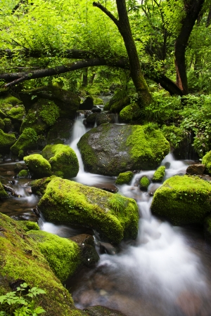 Beautiful landscape in South Korea,Sang-dong"Moss Valley"の写真素材