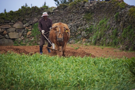 Beautiful Island in South Korea,Cheongsando""のeditorial素材