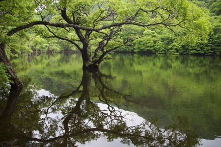 Beautiful spring landscape Jusanji" in South Korea"の写真素材