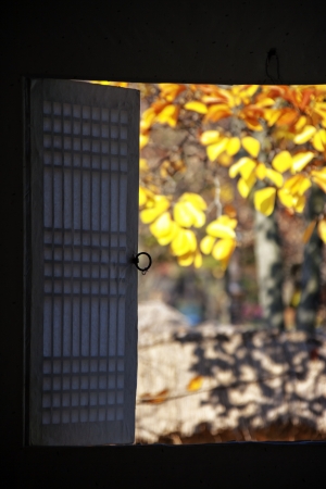 door,windowの写真素材