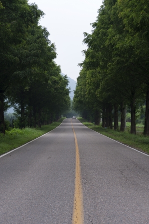 Beautiful way to Koreaの写真素材