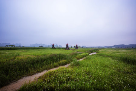 Beautiful landscape in South Korea,Sorae ecology wetland park