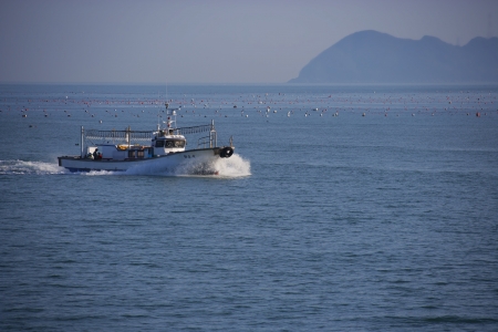 Beautiful Island in South Korea,Cheongsando のeditorial素材