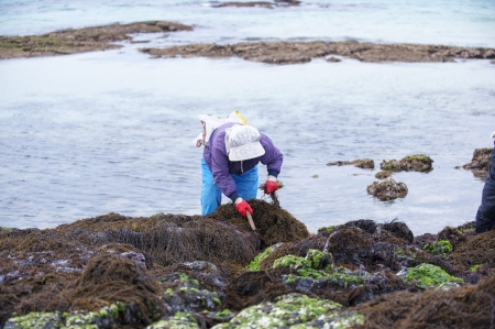 Beautiful landscape in south korea ,Jeju の写真素材