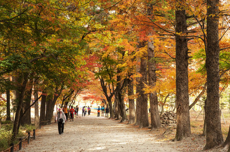 Autumn landscape with temples in south korea, Naesosaのeditorial素材