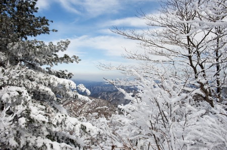 Beautiful winter landscape in south korea, Mt.Deogyusanの写真素材