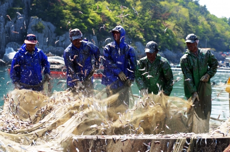 Beautiful landscape in South Korea,Fishing Villages,Anchovy fishing のeditorial素材