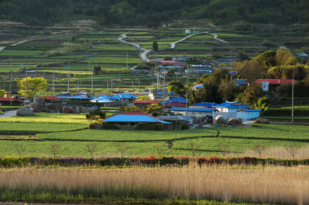 Beautiful Island in South Korea,Cheongsando