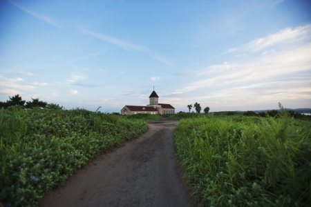 beautiful  Jeju  Island in South Korea, Seopjikoji の写真素材