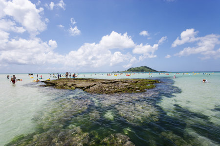 beautiful Jeju  Island in South Korea