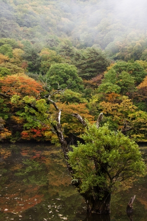 Autumn landscape with beautiful Jusanji" in South Korea"の写真素材