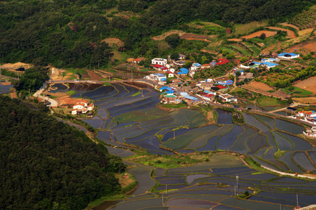 Beautiful  Tongyeong  in South Korea, Mireuksan 