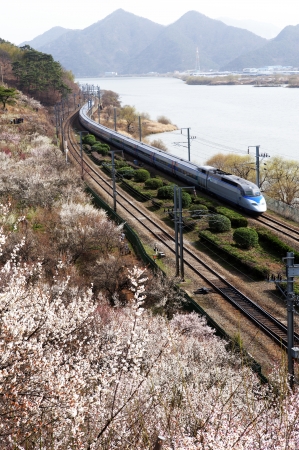 Beautiful landscape in South Korea,soonmaewon のeditorial素材