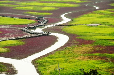 Beautiful landscape in South Korea,Sinan""の写真素材