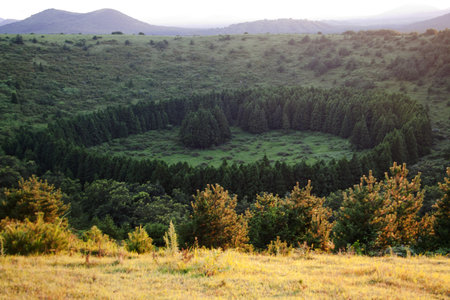 Beautiful  Jeju  Island in South Korea, YongOreum の写真素材