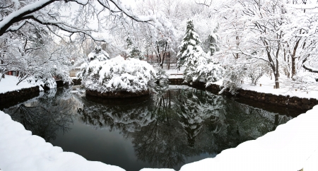 Palace in south korea,Jongmyo""の写真素材