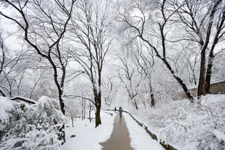 Road path in south korea,Changgyeong ""の写真素材