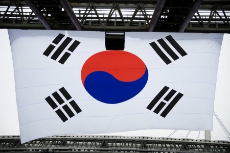 Cheering crowd at World Cup Stadium in South Koreaのeditorial素材