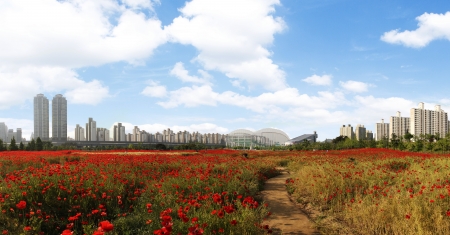 Beautiful landscape in South Korea,Bucheon のeditorial素材