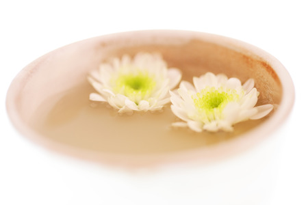 Flower tea inの写真素材